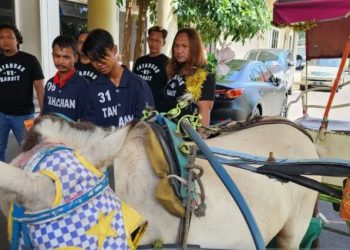 Curi Delman beserta Kudanya, Bapak dan Anak di Semarang Diamankan Polisi