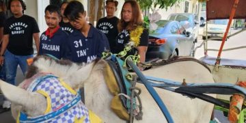 Curi Delman beserta Kudanya, Bapak dan Anak di Semarang Diamankan Polisi