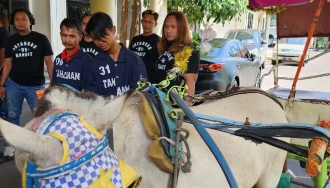 Curi Delman beserta Kudanya, Bapak dan Anak di Semarang Diamankan Polisi