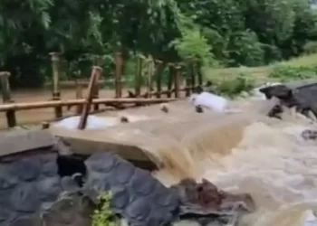 Curah Hujan Meninggi, Dua Tanggul di Kabupaten Kudus Jebol