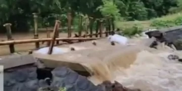 Curah Hujan Meninggi, Dua Tanggul di Kabupaten Kudus Jebol