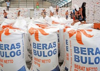 21 Juta KPM Ditargetkan Dapat Bansos Beras dan Pangan Maret Ini