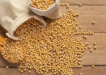 Permintaan Stabil, Harga Kedelai Impor di Kudus Turun