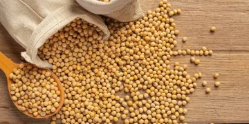 Permintaan Stabil, Harga Kedelai Impor di Kudus Turun