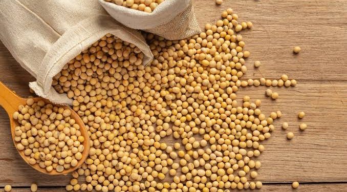 Permintaan Stabil, Harga Kedelai Impor di Kudus Turun