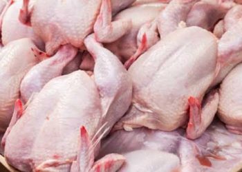 Awal Ramadhan, Harga Daging Ayam di Temanggung Capai Rp 34 Ribu/kg