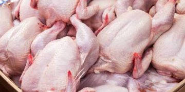 Awal Ramadhan, Harga Daging Ayam di Temanggung Capai Rp 34 Ribu/kg