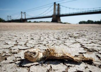 Serangan Gelombang Panas Ekstrem, Ini Daftar Wilayah Terparah