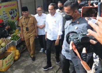Jumlah Pemudik Tahun Ini Capai 123 Juta Orang, Jokowi Minta Sejumlah Wilayah Bersiap