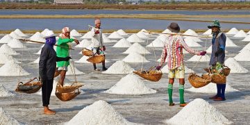 Rencana Pembangunan Industri Garam di Jepara, Nilai Investasi Capai Rp 96,1 Miliar