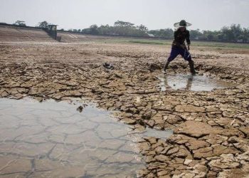 Fenomena El Nino Makin Dekat, BRIN Sarankan Antisipasi Naiknya Suhu Panas Ekstrem