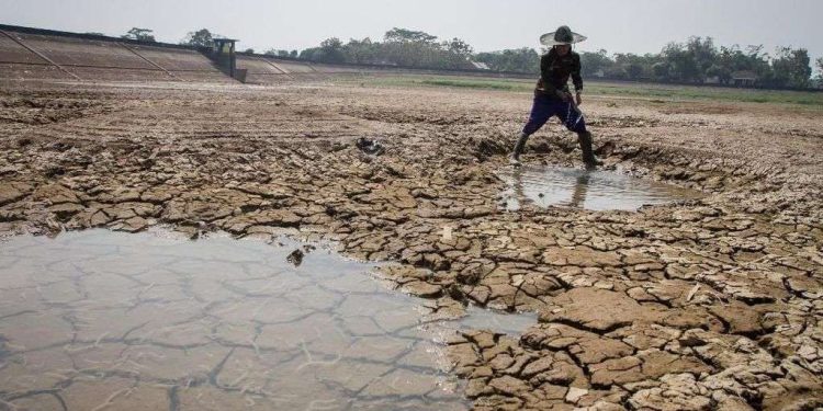 Fenomena El Nino Makin Dekat, BRIN Sarankan Antisipasi Naiknya Suhu Panas Ekstrem
