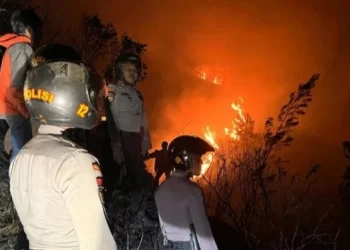 Akibat Kebakaran, Seluruh Jalur Pendakian Gunung Sumbing Ditutup Sementara