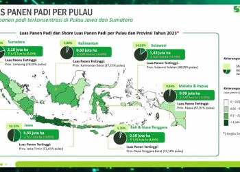 Ancaman Defisit Beras Makin Mengemuka, BPS Beberkan Buktinya