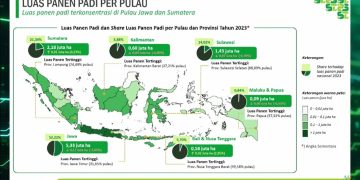 Ancaman Defisit Beras Makin Mengemuka, BPS Beberkan Buktinya