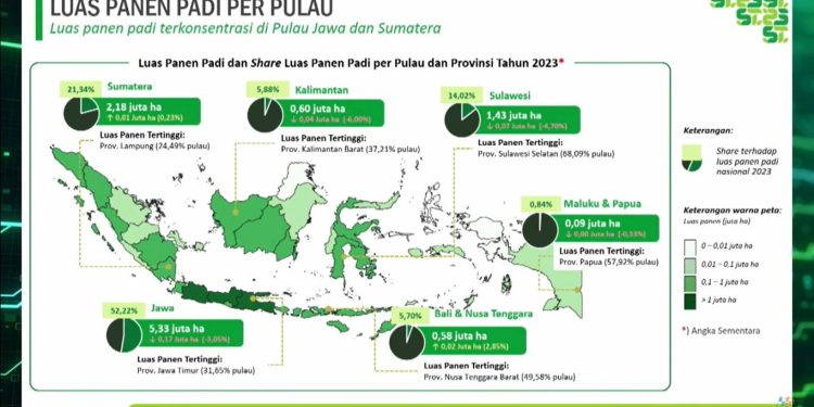 Ancaman Defisit Beras Makin Mengemuka, BPS Beberkan Buktinya