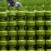 Dugaan Penyelewengan 1,5 Juta Ton LPG 3 Kg