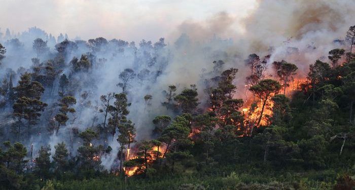 Lereng Gunung Merbabu Terbakar, Api Meluas Sampai Puncak