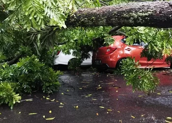 Masuk Musim Pancaroba, BPBD Temanggung Minta Masyarakat Waspada Angin Kencang