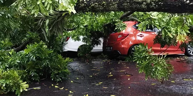 Masuk Musim Pancaroba, BPBD Temanggung Minta Masyarakat Waspada Angin Kencang
