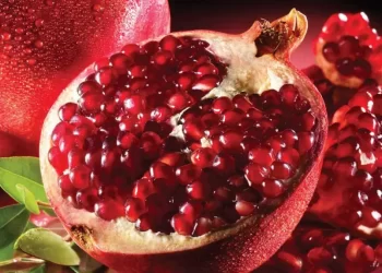 5 Buah yang Dapat Sembuhkan Batu Ginjal secara Alami