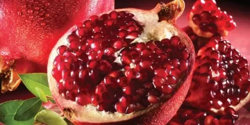 5 Buah yang Dapat Sembuhkan Batu Ginjal secara Alami