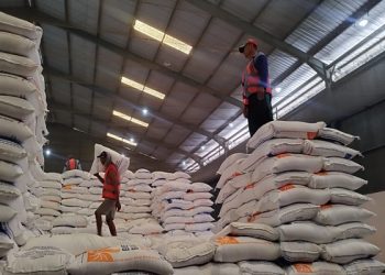 Jawa Tengah Impor 3.500 Ton Beras dari Kamboja