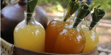 Ramuan Khas Indonesia ‘Jamu’ Akan Ditetapkan Jadi Warisan Budaya UNESCO