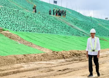 Investasi Asing di IKN Minim, Jokowi Ungkap Alasannya