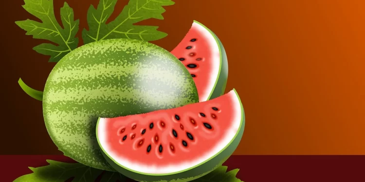 Sejarah Buah Semangka sebagai Simbol Dukungan Palestina