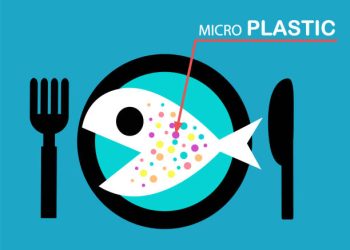 Ancaman Mikroplastik: 90% Ditemukan di Daging Sapi, Ayam dan Tahu