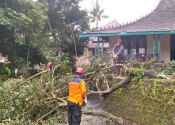 Wilayah Jepara Sering Diterjang Puting Beliung, BPBD Jepara Minta Masyarakat selalu Waspada