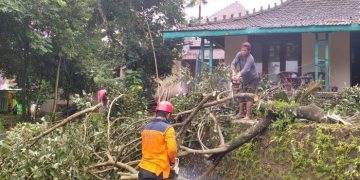 Wilayah Jepara Sering Diterjang Puting Beliung, BPBD Jepara Minta Masyarakat selalu Waspada
