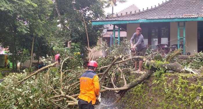 Wilayah Jepara Sering Diterjang Puting Beliung, BPBD Jepara Minta Masyarakat selalu Waspada
