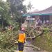 Wilayah Jepara Sering Diterjang Puting Beliung, BPBD Jepara Minta Masyarakat selalu Waspada