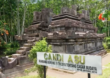 Pelestarian Candi Asu di Magelang