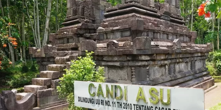 Pelestarian Candi Asu di Magelang