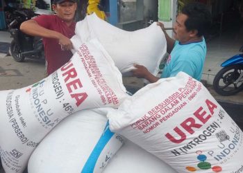 Pemkab Temanggung Tambah Alokasi Pupuk Bersubsidi