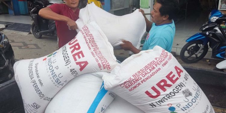 Pemkab Temanggung Tambah Alokasi Pupuk Bersubsidi