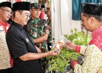 Kabupaten Magelang Launching Gerakan Menuju Go Organik