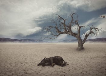 Bumi Memanas; Sejumlah Wilayah Tak Layak Huni hingga Manusia Tak Mampu Adaptasi