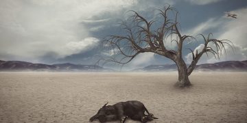 Bumi Memanas; Sejumlah Wilayah Tak Layak Huni hingga Manusia Tak Mampu Adaptasi