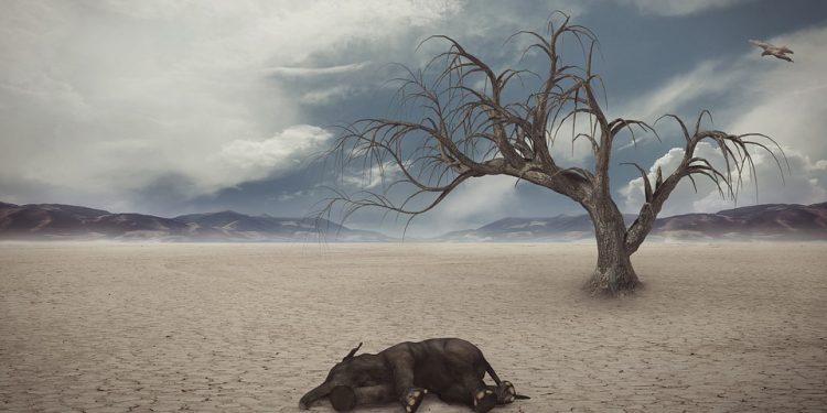 Bumi Memanas; Sejumlah Wilayah Tak Layak Huni hingga Manusia Tak Mampu Adaptasi