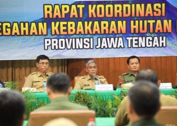 Karhutla Jawa Tengah Capai 153 Hektare pada 2024