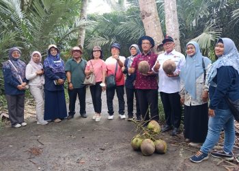 Pemkab Magelang Usulkan Kelapa Upat-upat Jadi Varietas Unggul Nasional