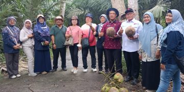 Pemkab Magelang Usulkan Kelapa Upat-upat Jadi Varietas Unggul Nasional