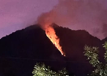 Lereng Gunung Telomoyo Kebakaran, 1,5 Hektare Lahan Hangus