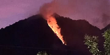 Lereng Gunung Telomoyo Kebakaran, 1,5 Hektare Lahan Hangus