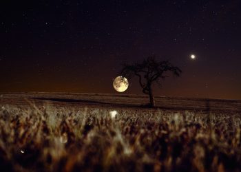 Ada ‘Bulan Kedua’ Mengorbit Bumi, Fenomena Bulan Kembar Terjadi Hari Ini