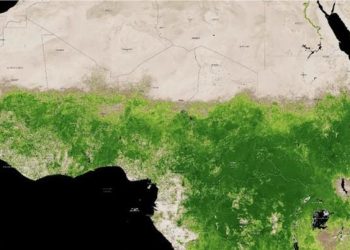 Gurun Sahara Menghijau di Saat Bumi Memanas, Kenapa?